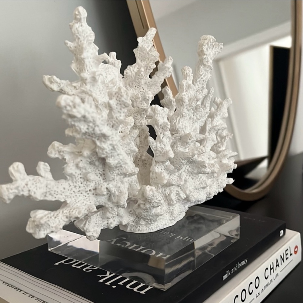 Decorative White Coral Sculpture - Picture 2 of 4
